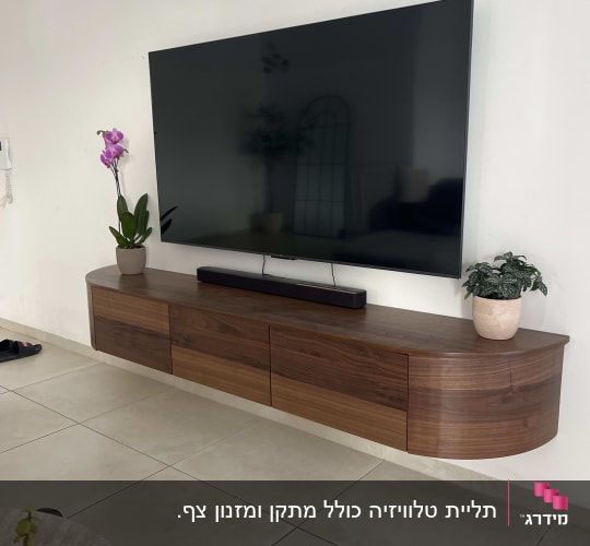 טלוויזיה תלויה על קיר עם שידה מעץ וצמחים